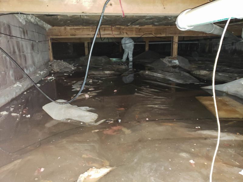 Basement Waterproofing Inspection